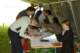 imgp6318_small.jpg