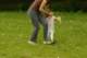 imgp6516_small.jpg