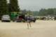 imgp6556_small.jpg