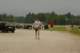 imgp6570_small.jpg