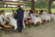 imgp6785_small.jpg
