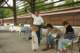 imgp6824_small.jpg