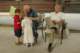 imgp6830_small.jpg