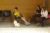 photo260_small.jpg