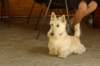 photo262_small.jpg