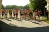 imgp8541_small.jpg