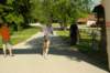 imgp8558_small.jpg