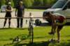 imgp8571_small.jpg