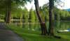 imag0152_small.jpg