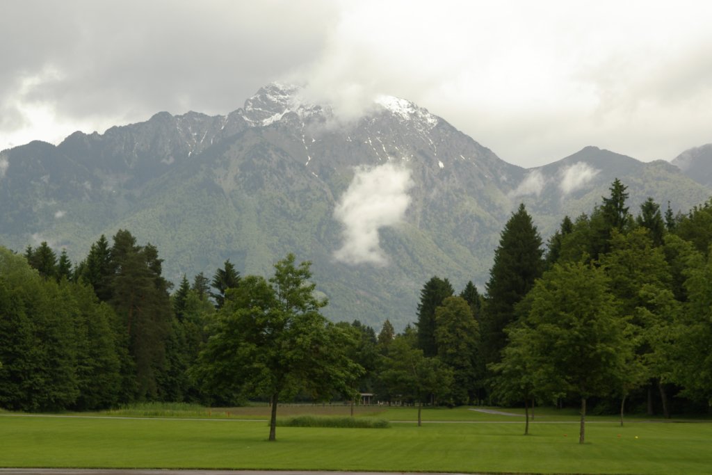 imgp1411.jpg
