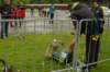 imgp1429_small.jpg