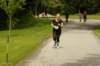 imgp1463_small.jpg