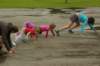 imgp1504_small.jpg
