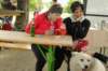 imgp1554_small.jpg