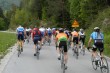 DSC_0061.JPG