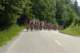dsc_0029_small.jpg