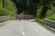 dsc_0046_small.jpg