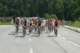 dsc_0058_small.jpg