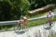 dsc_0085_small.jpg