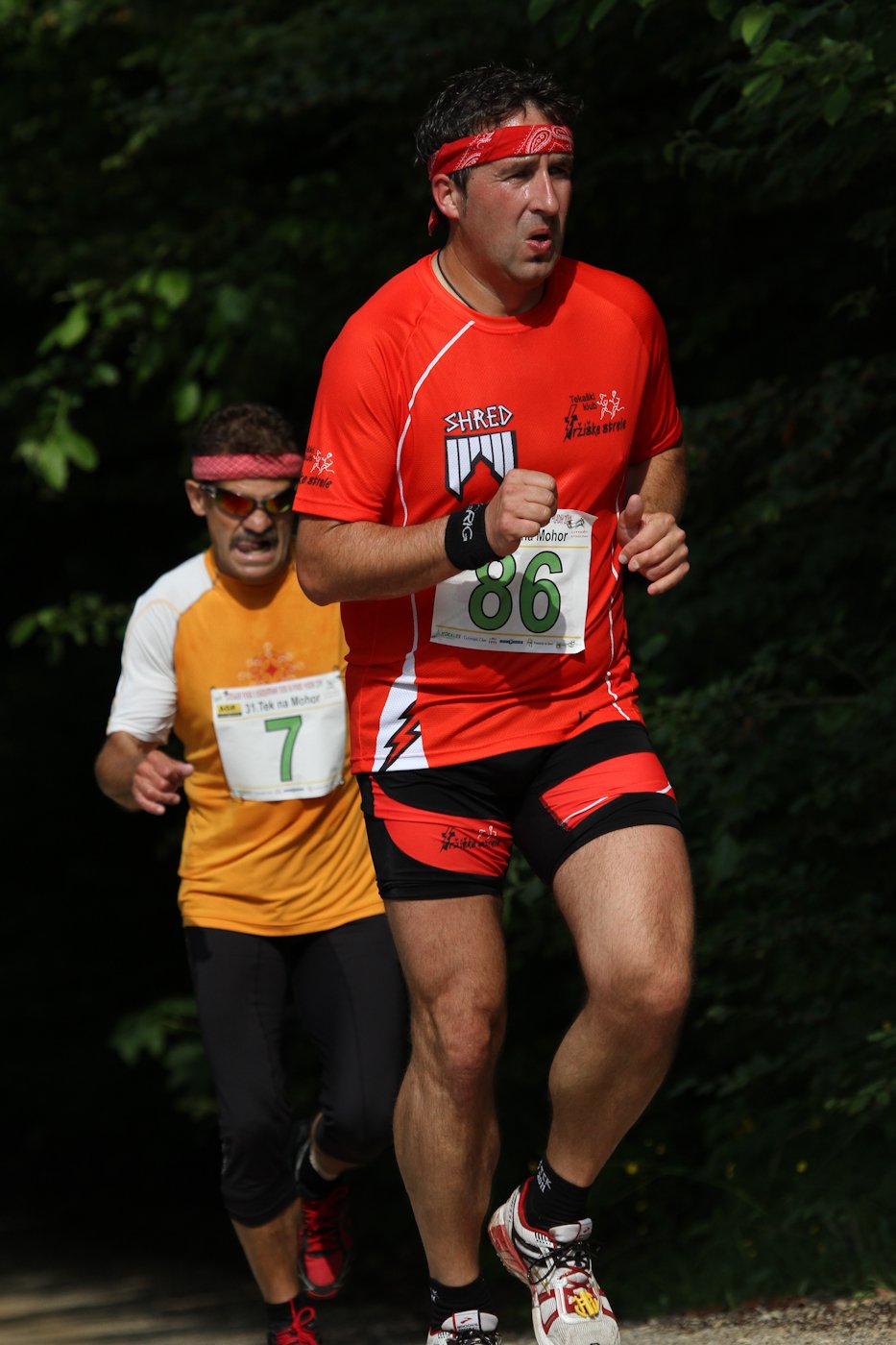 mohor_11_2065.jpg