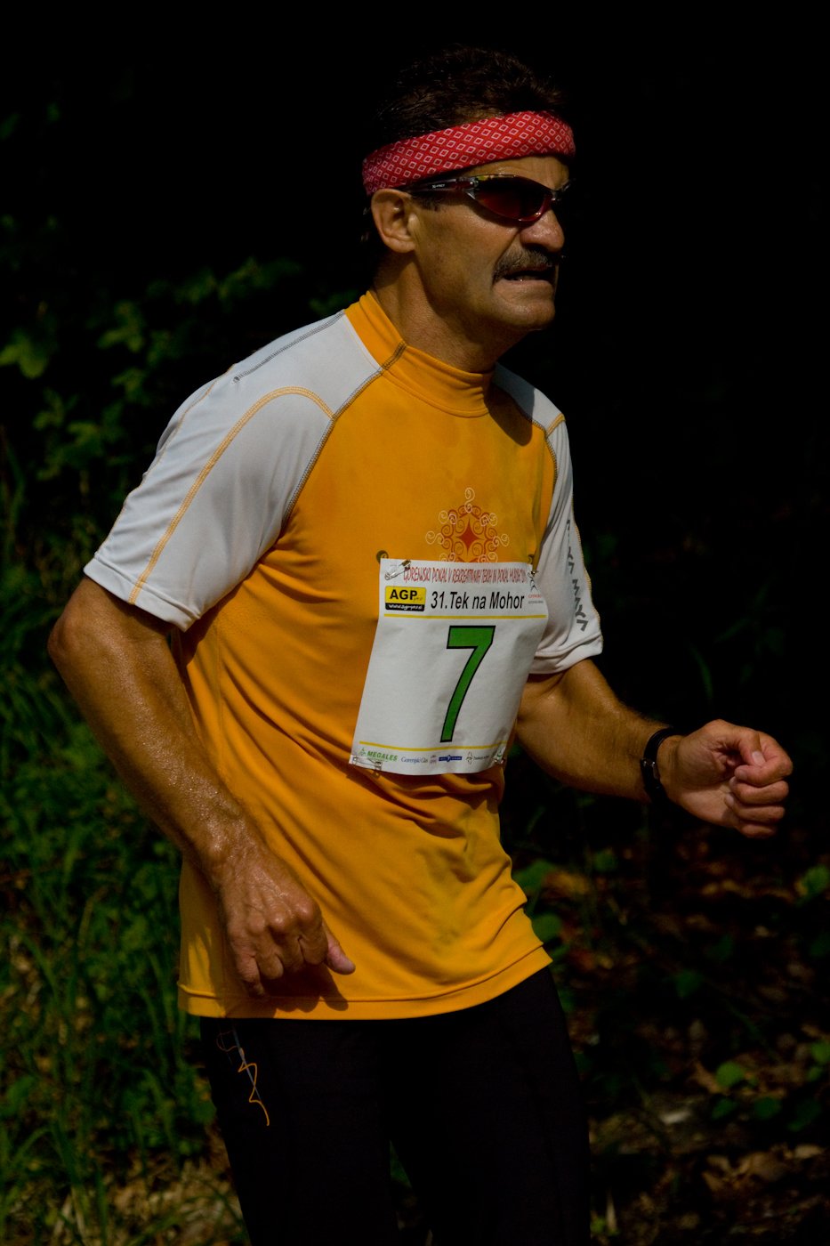 mohor_11_2066.jpg